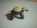 Terrapin