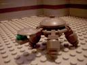 turtles30.jpg