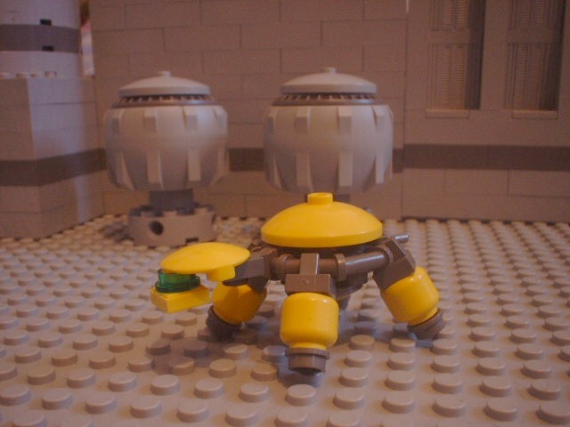 turtle_87.jpg