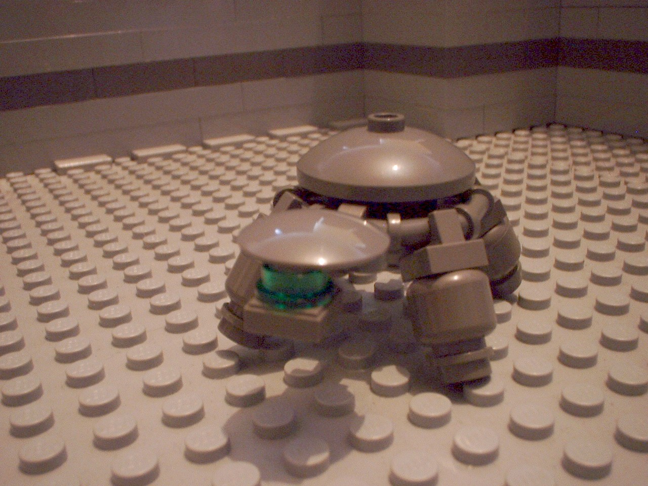 turtles29.jpg