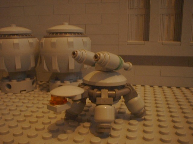 turtle_53.jpg