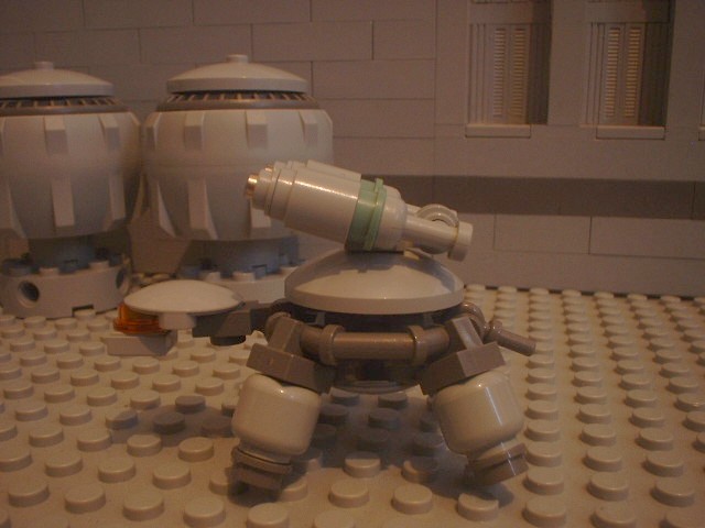 turtle_54.jpg