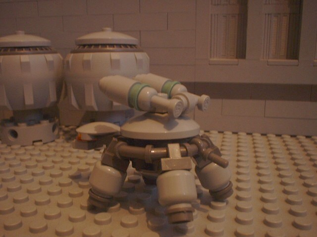 turtle_55.jpg