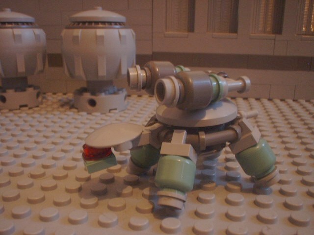 turtle_92.jpg