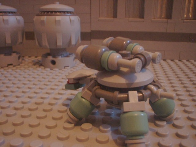 turtle_94.jpg