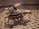 turtles24.jpg