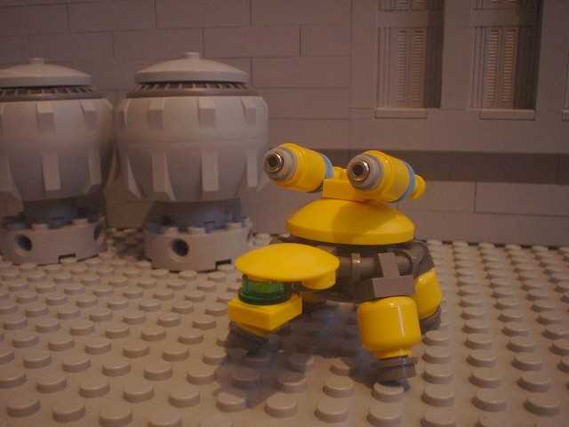 turtle_56.jpg
