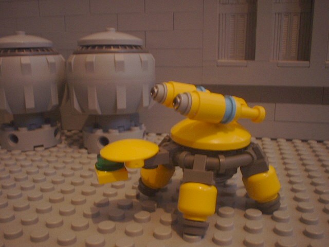 turtle_57.jpg