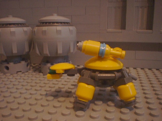 turtle_58.jpg