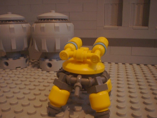 turtle_60.jpg