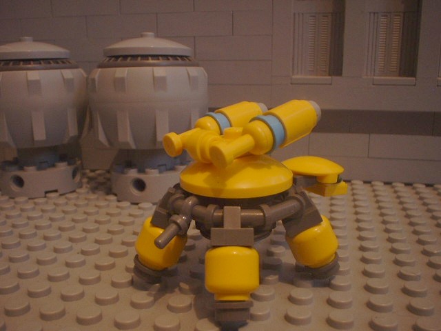 turtle_61.jpg