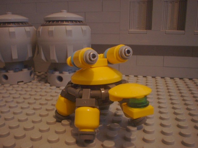 turtle_64.jpg