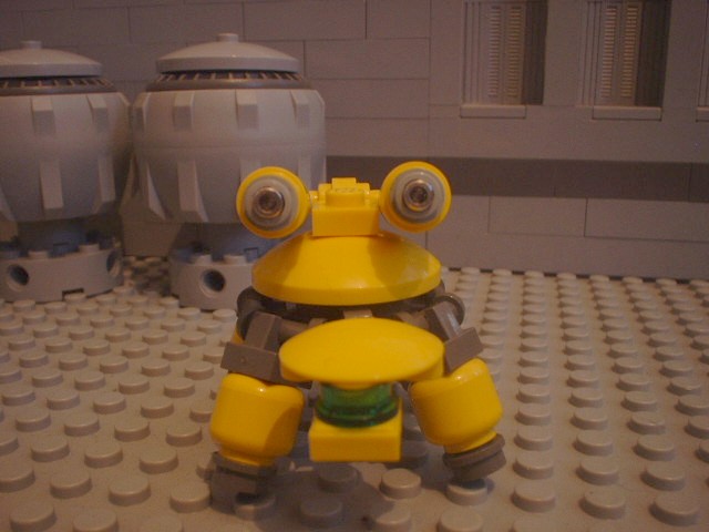 turtle_65.jpg