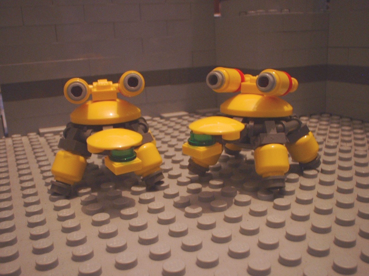 turtles18.jpg