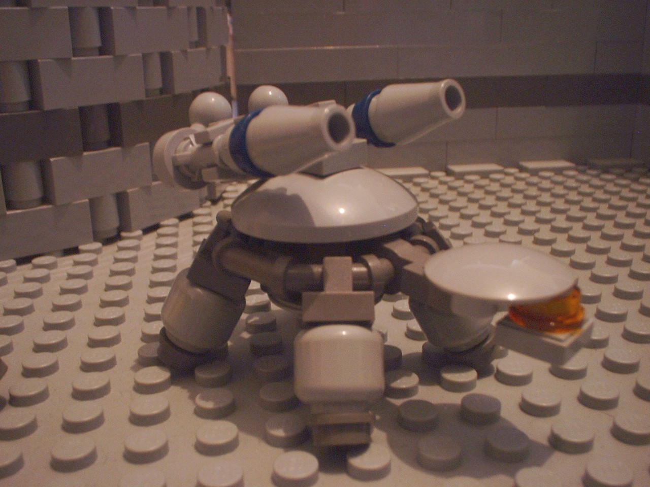 turtles19.jpg
