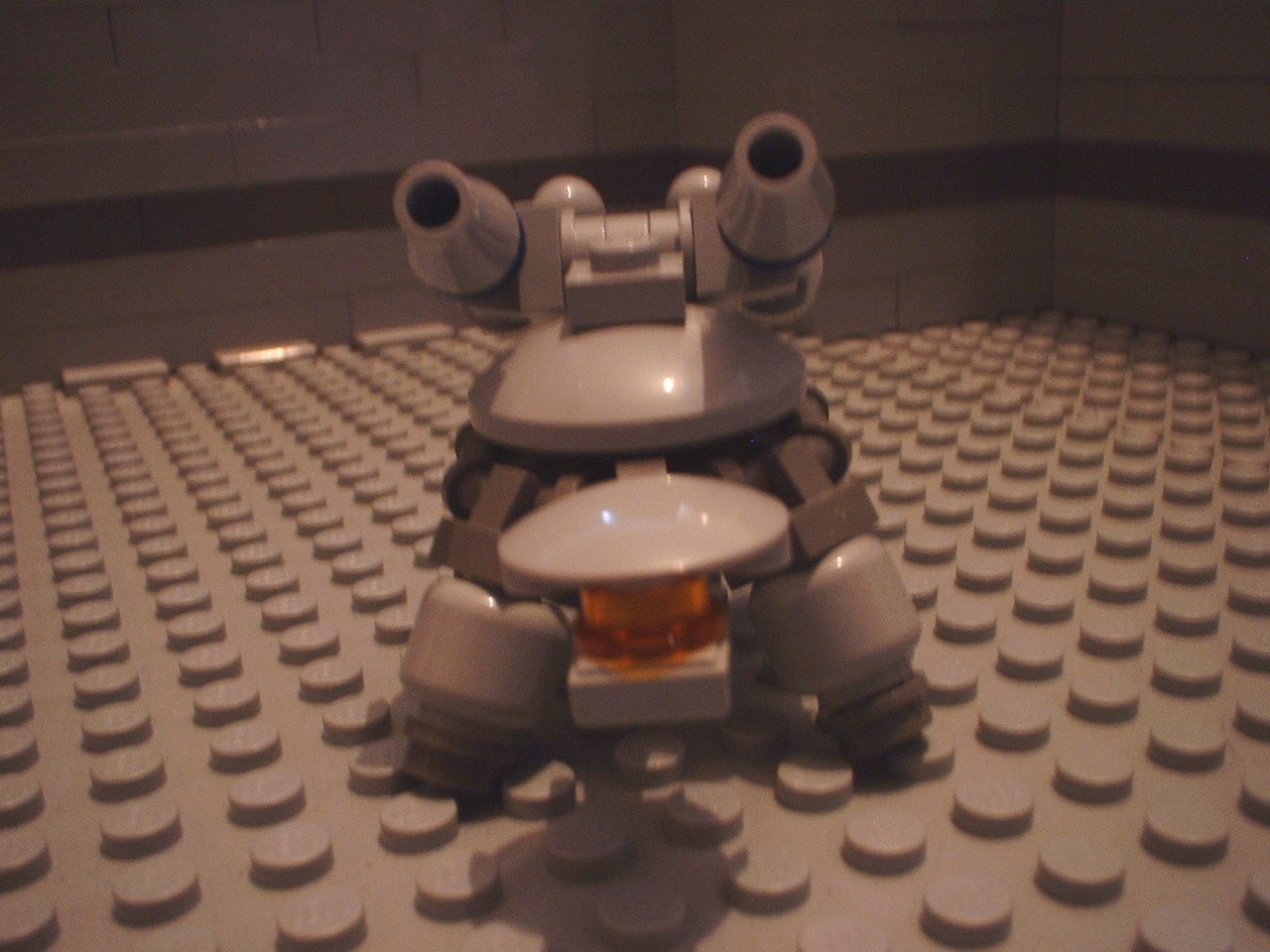 turtles20.jpg