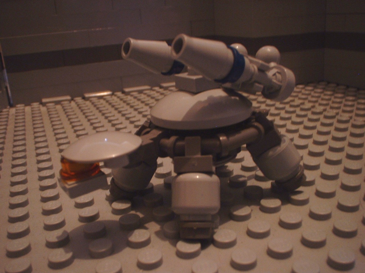 turtles21.jpg