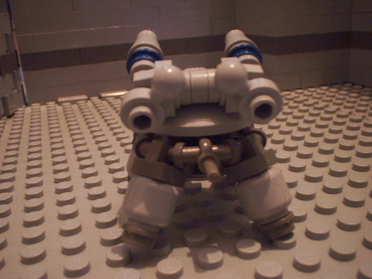 turtles23.jpg