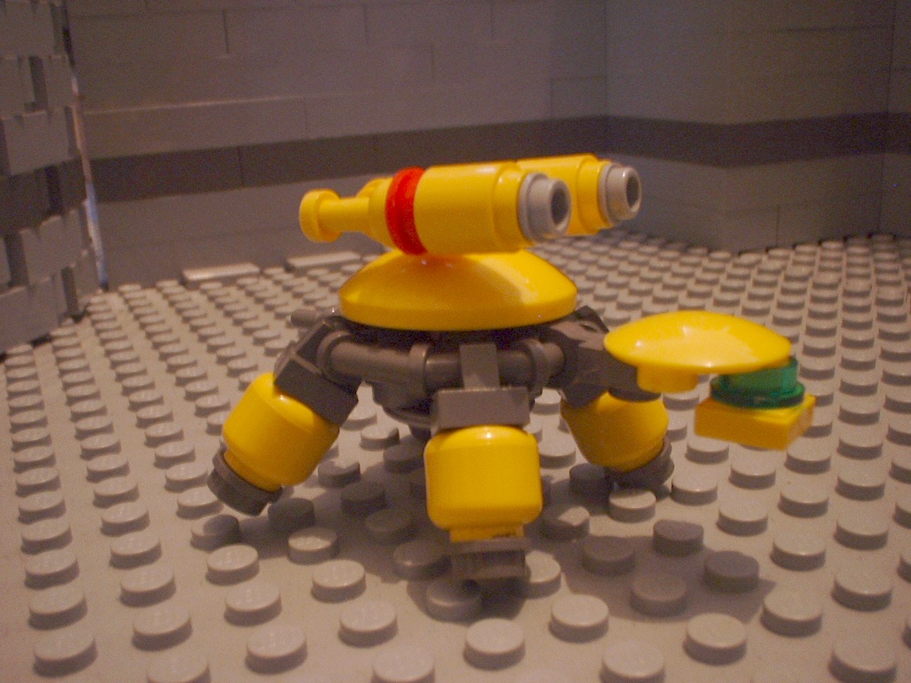 turtles25.jpg
