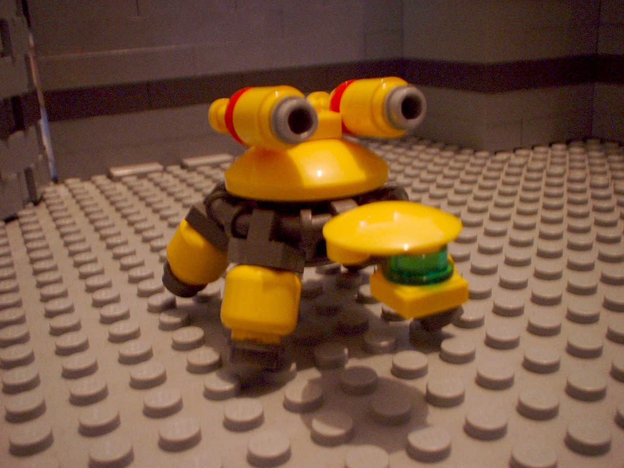 turtles26.jpg