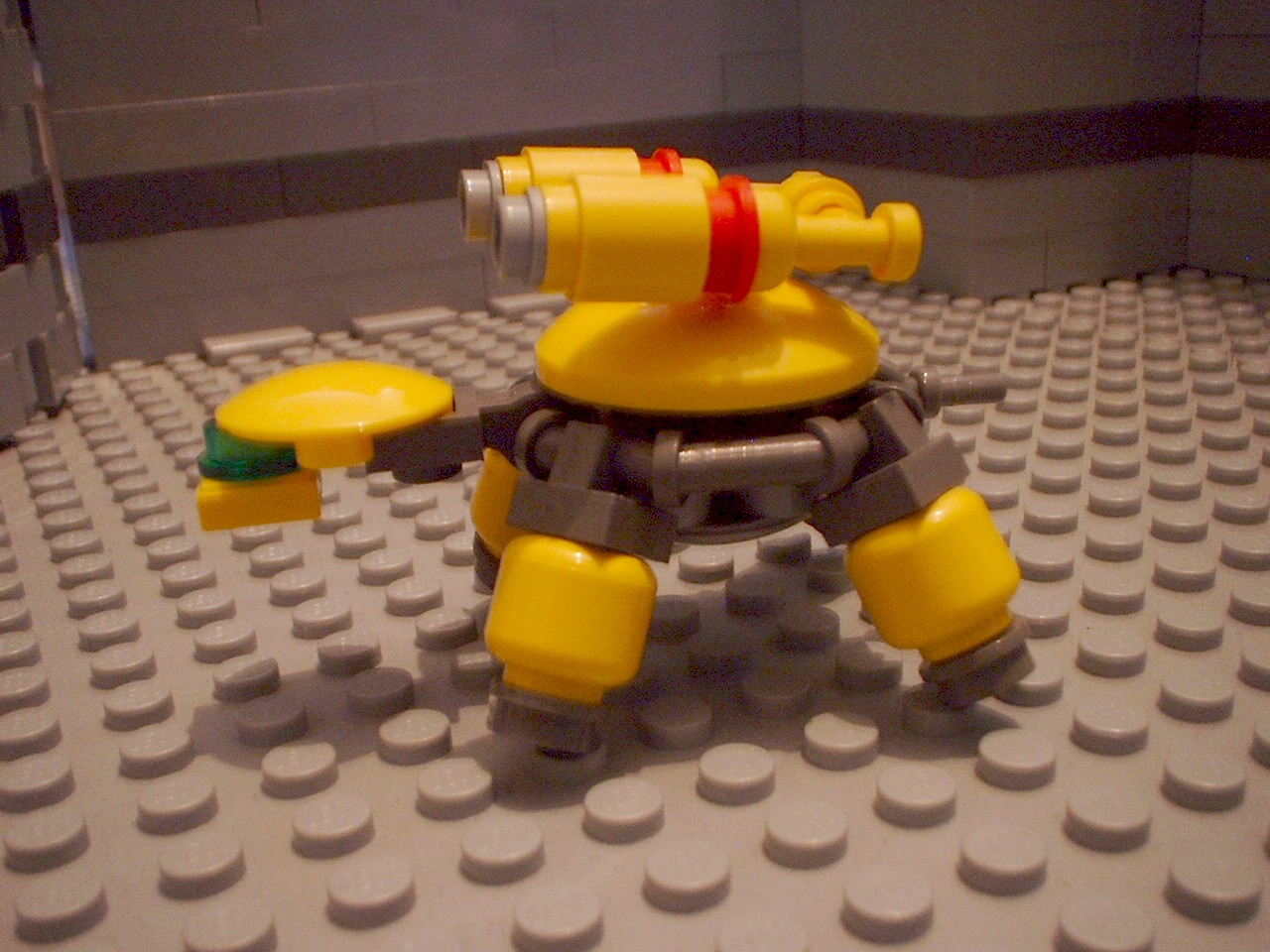 turtles27.jpg