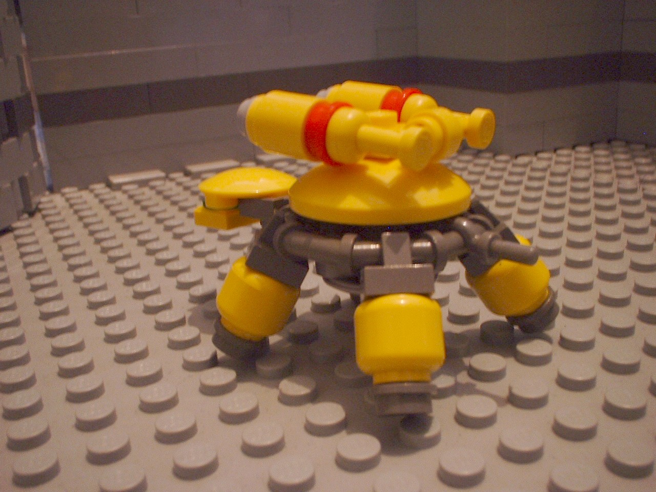 turtles28.jpg