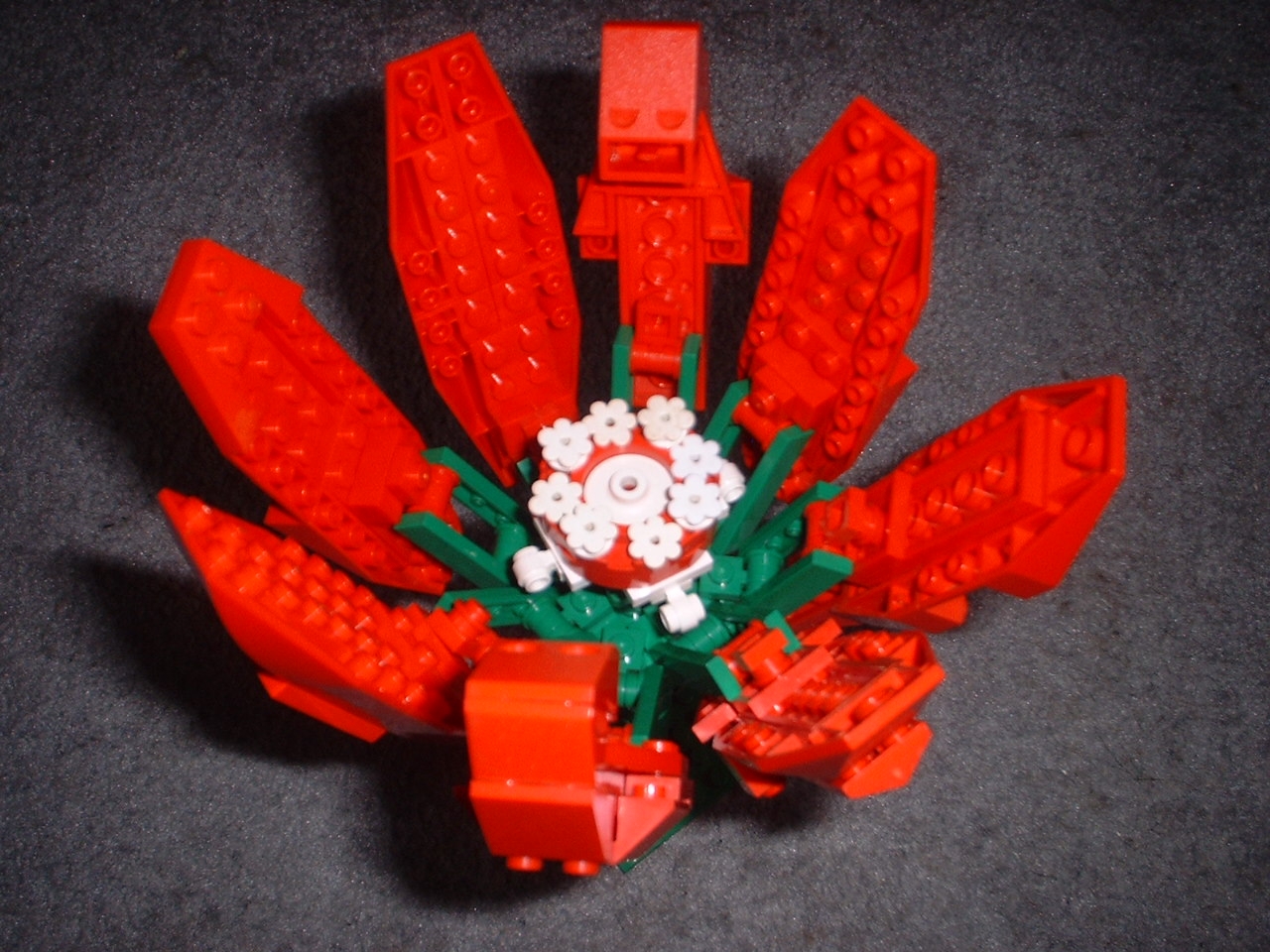 flower.jpg