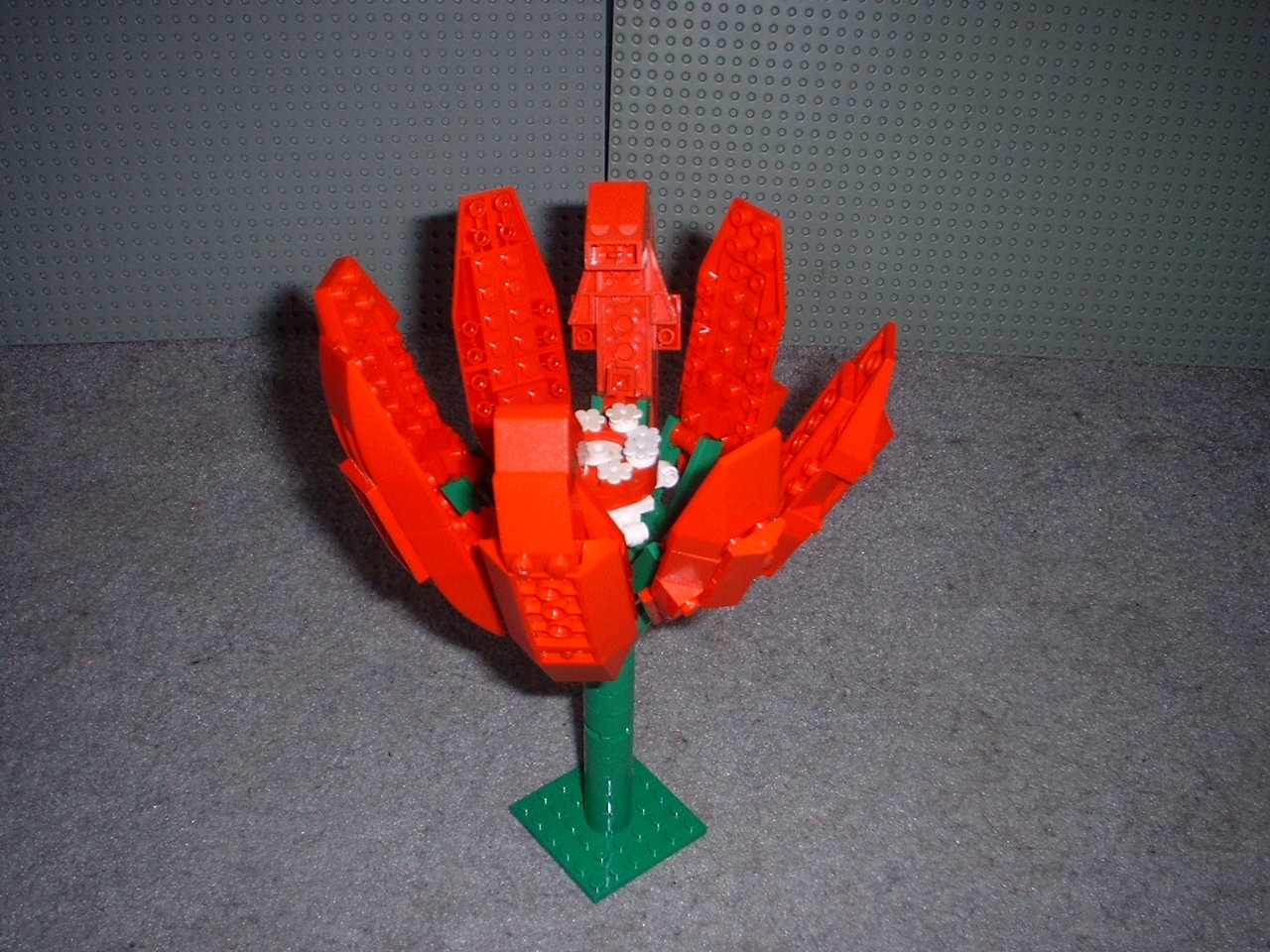 flower02.jpg