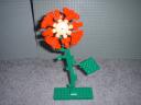 flower03.jpg