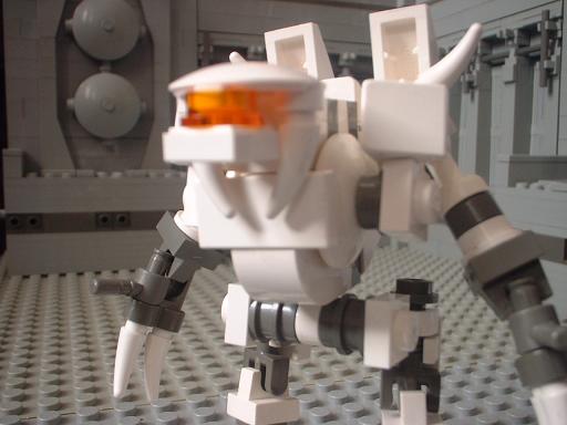 small_nova.jpg
