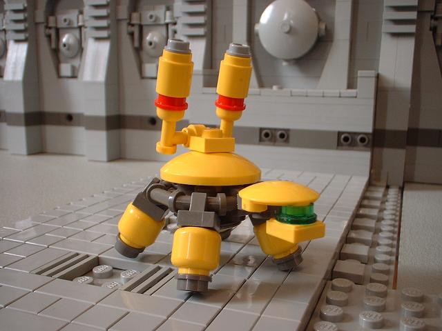 small_turtle.jpg