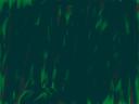 cool.gif