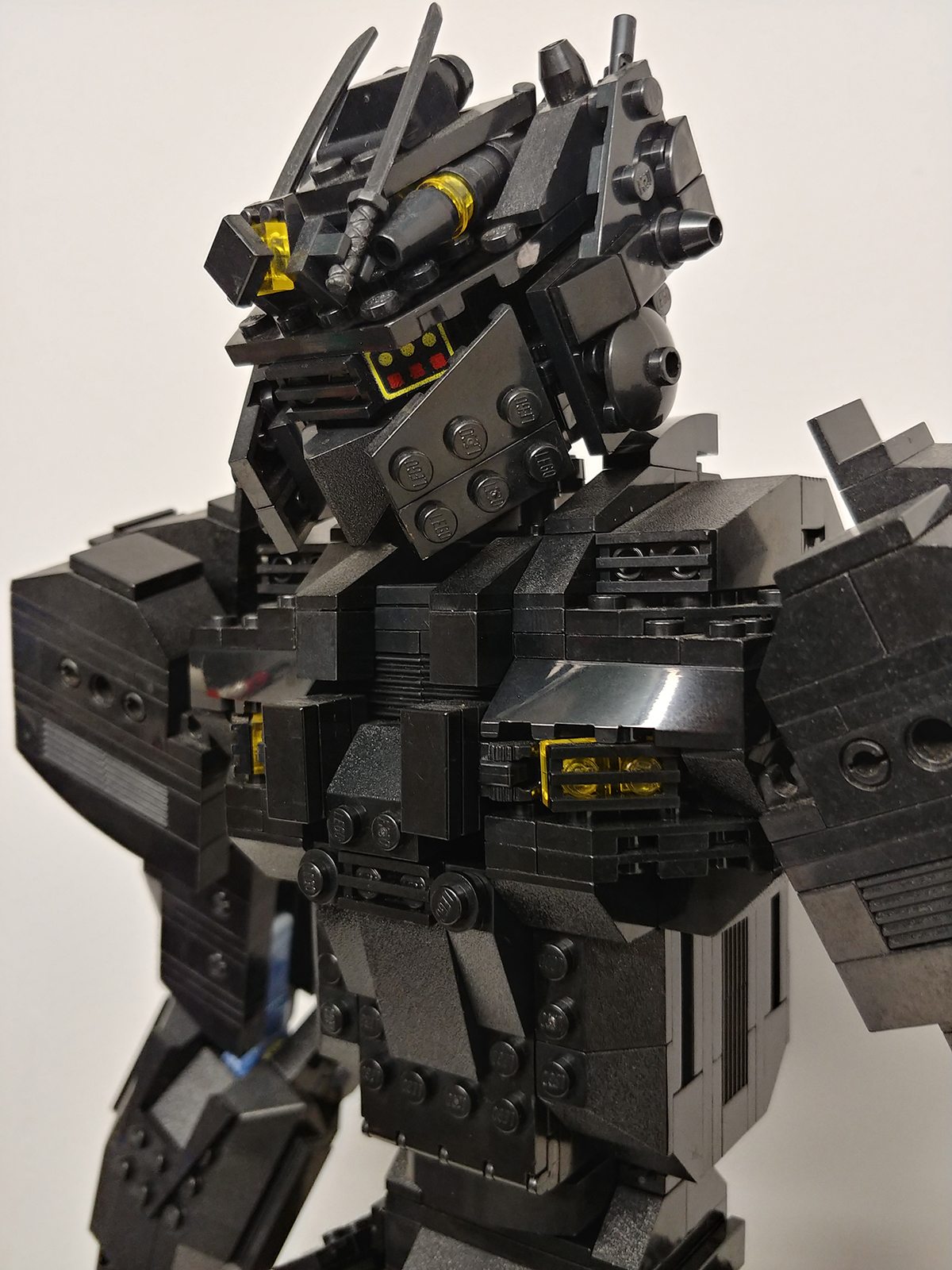 00-black-bear-002-a.jpg