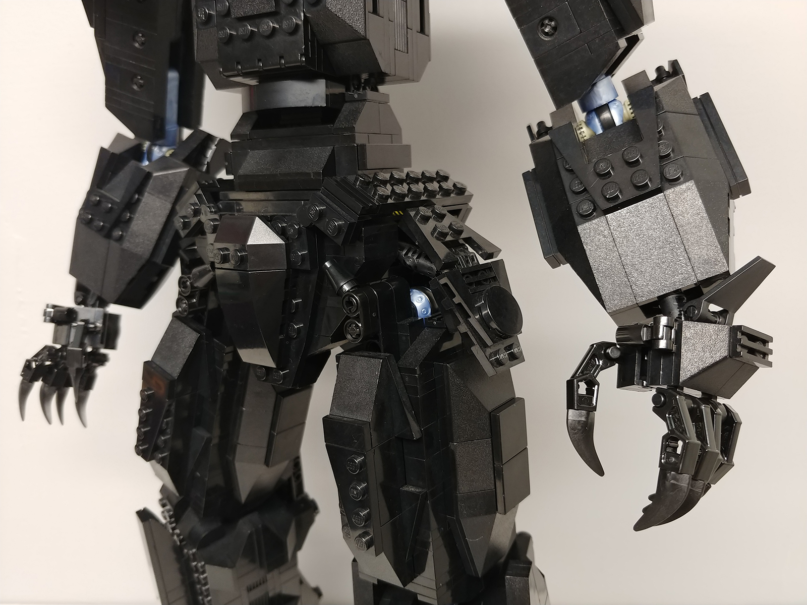 00-black-bear-003.jpg
