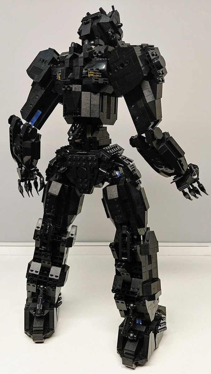 00-black-bear-005.jpg
