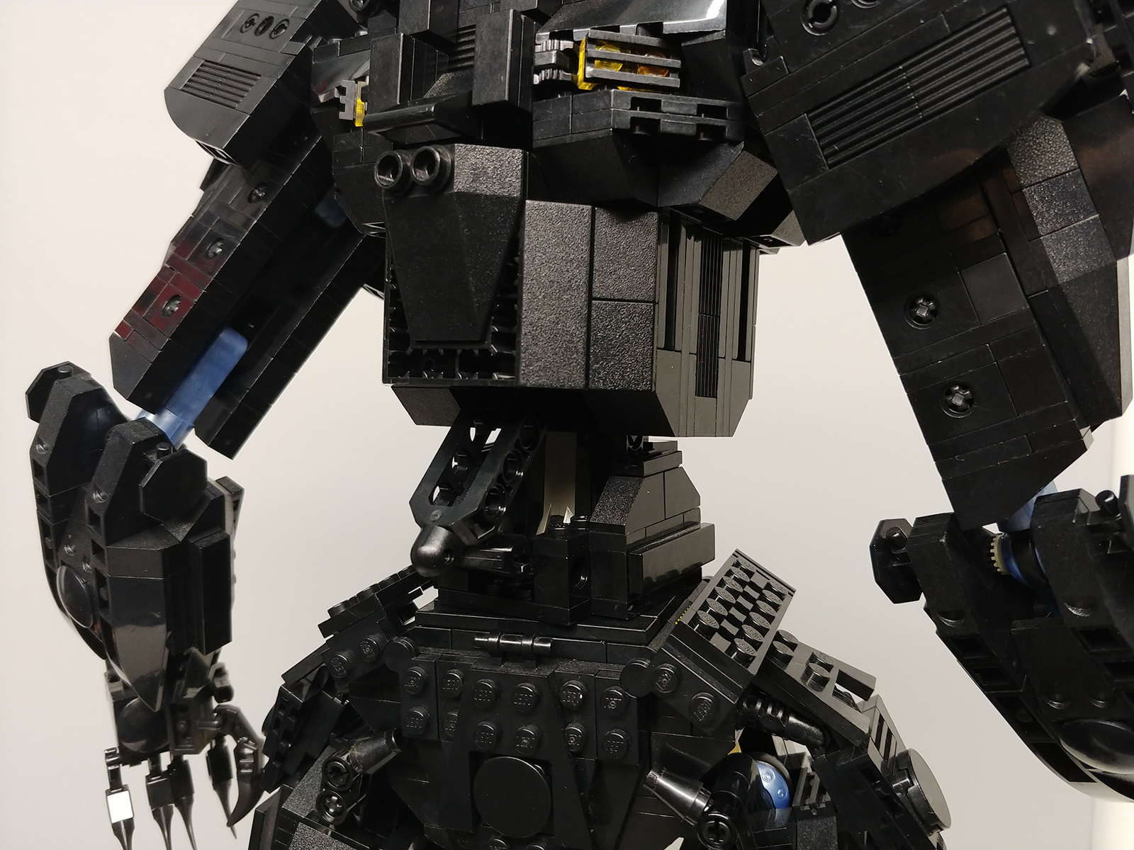 00-black-bear-006.jpg