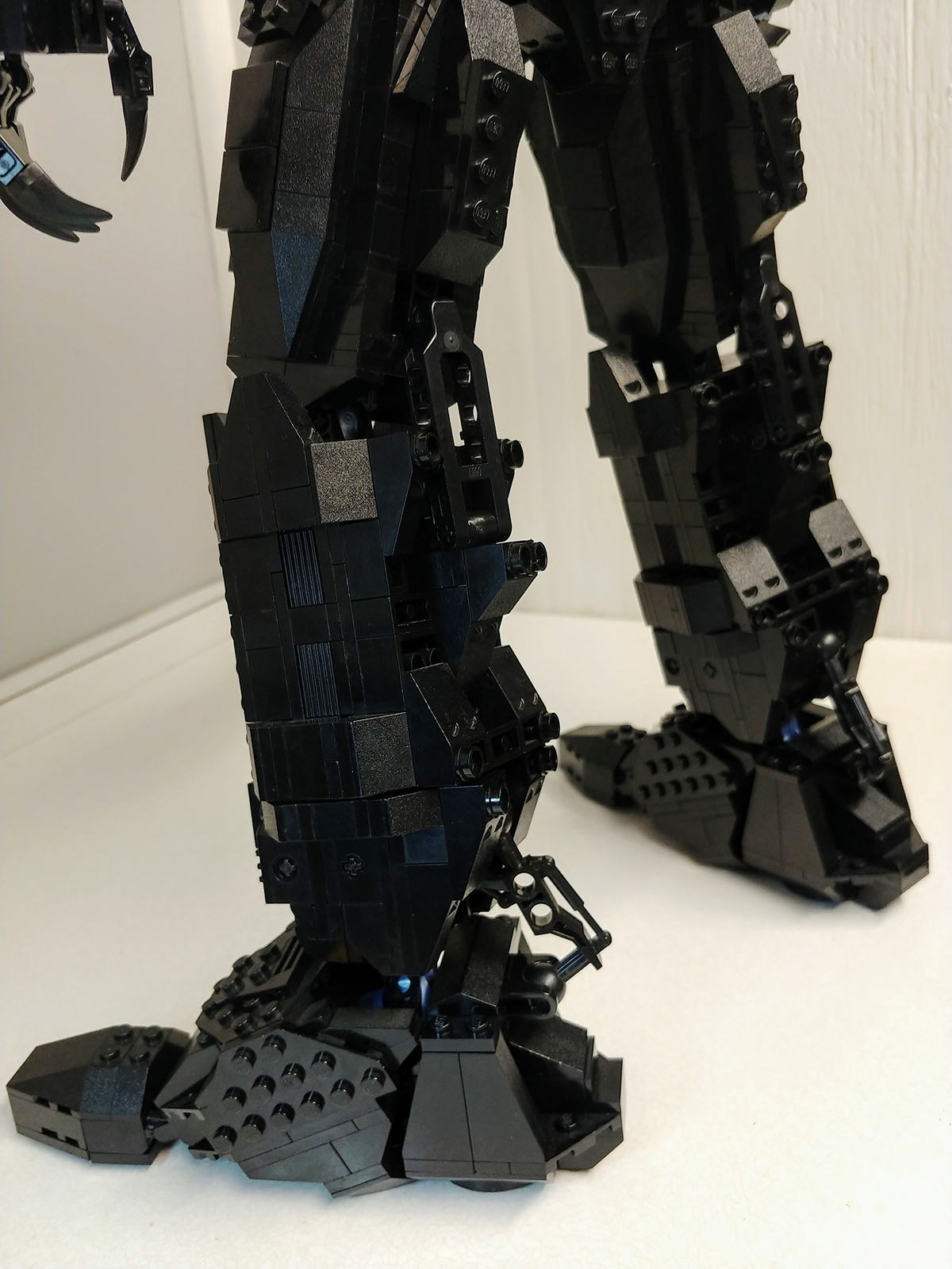 00-black-bear-007.jpg
