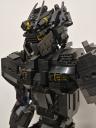 00-black-bear-002-a.jpg