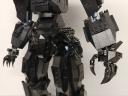 00-black-bear-003.jpg