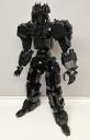 00-black-bear-004.jpg