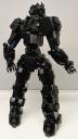00-black-bear-005.jpg