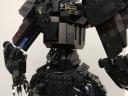00-black-bear-006.jpg