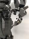 00-black-bear-009.jpg