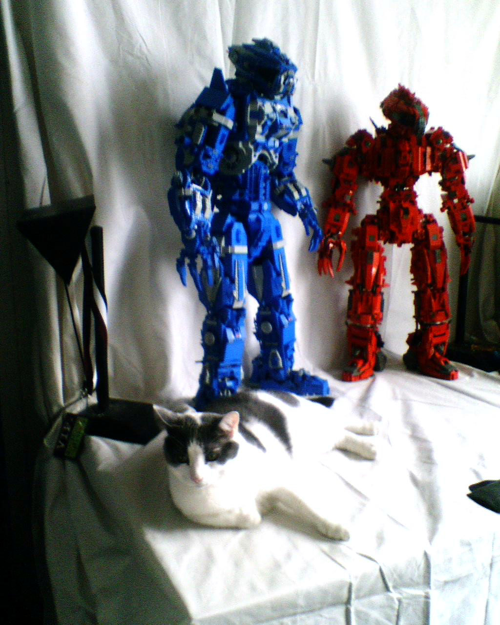 z-bloobit-eslc-2008-z3.jpg