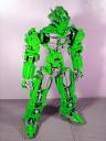dsc011042-g.jpg
