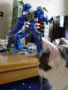 z-blue-bear-mr-jeeves-2.jpg