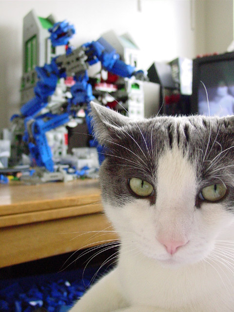 z-blue-bear-mr-jeeves-1.jpg