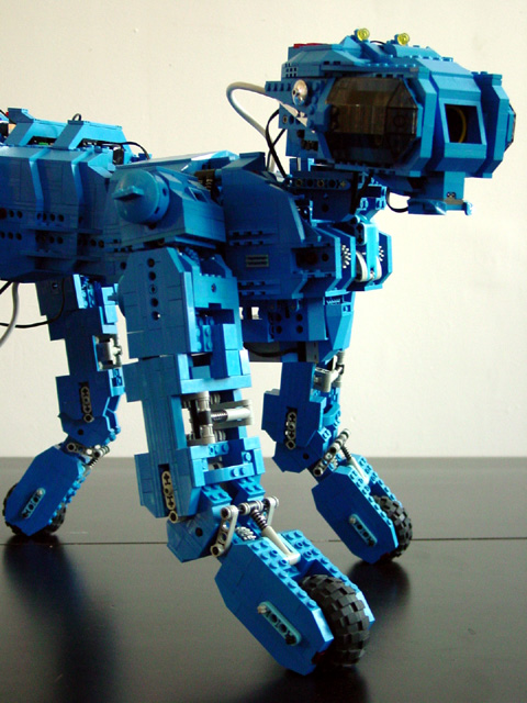 d5-blue-quad.jpg