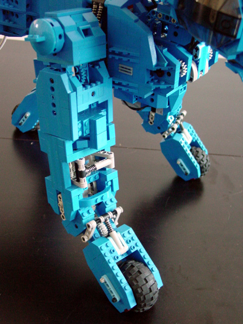 d6-blue-quad.jpg