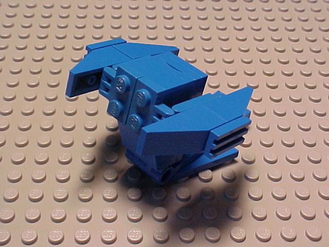 head-6.jpg